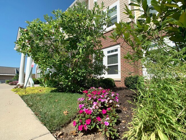 Photo - Fairview Village