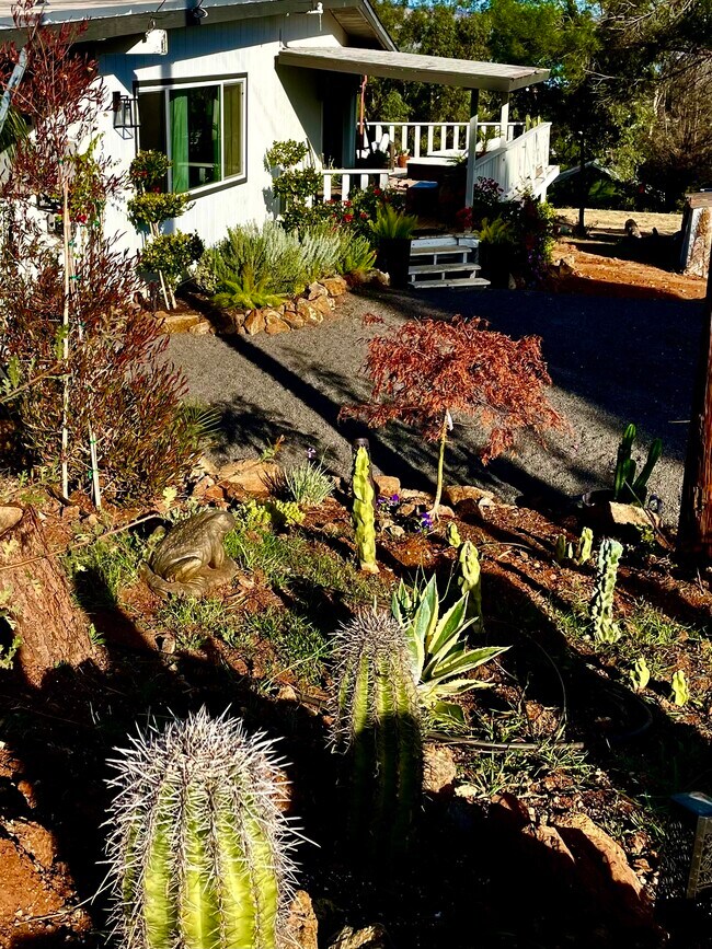 Photo - 300 Grace Ln