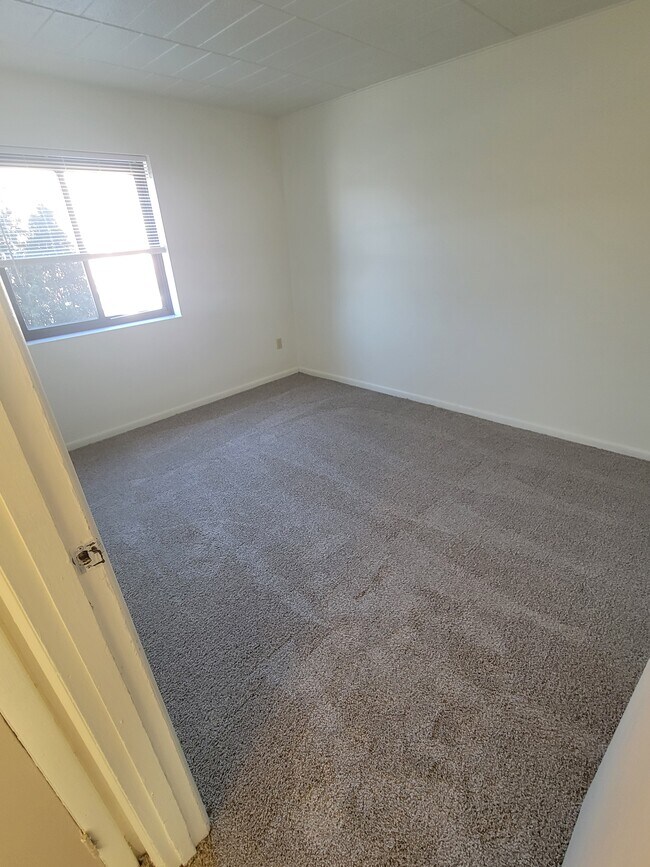 Photo - Crafton Broadhead Apartments