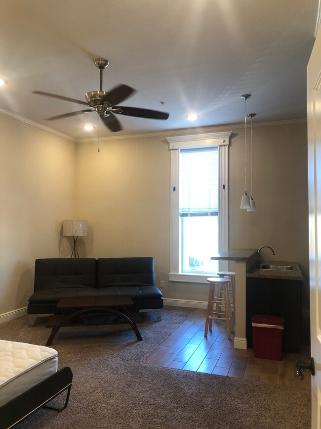 Huge Windows with views of downtown - 114 E University St Apartments
