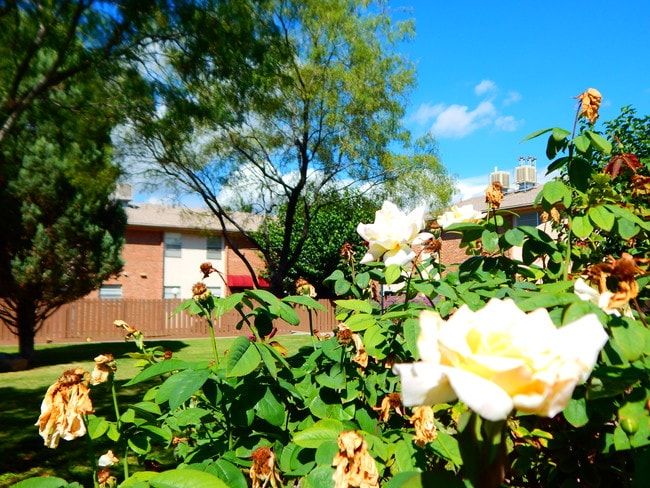 Photo - TransMountain - FREE Utilities