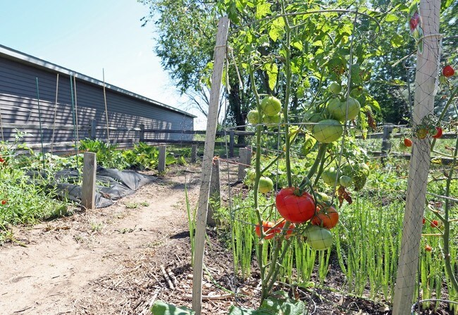 Garden - Crystal Springs Apartments