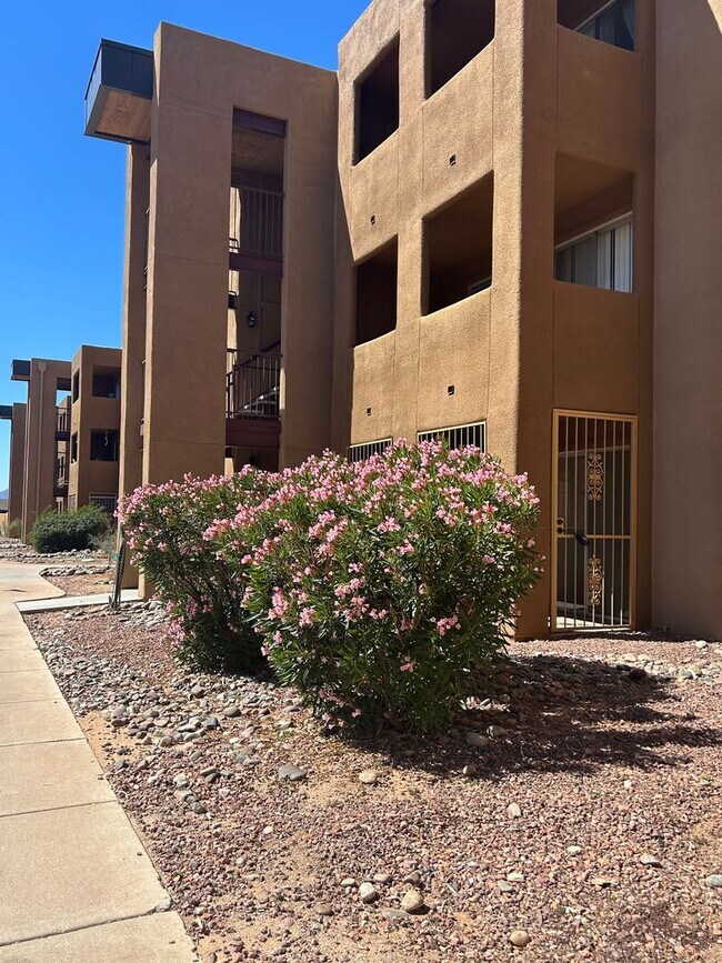1810 E Blacklidge Dr Unit 204