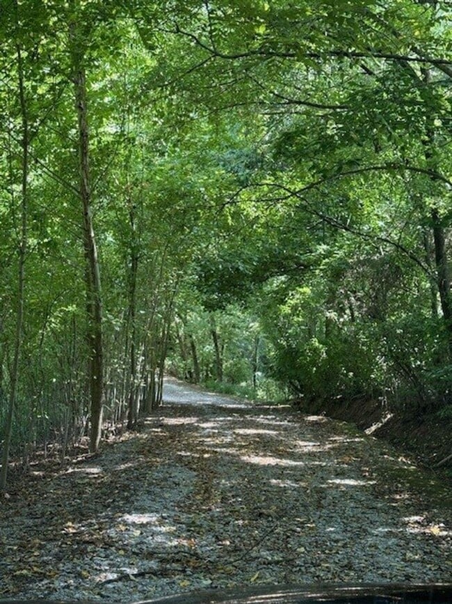 Photo - Available Now Spacious 3 Bedroom Home on Private Acreage!