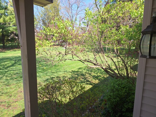 View Out Front Door - 24361 Bashian Dr Unit 24361 Bashian Drive