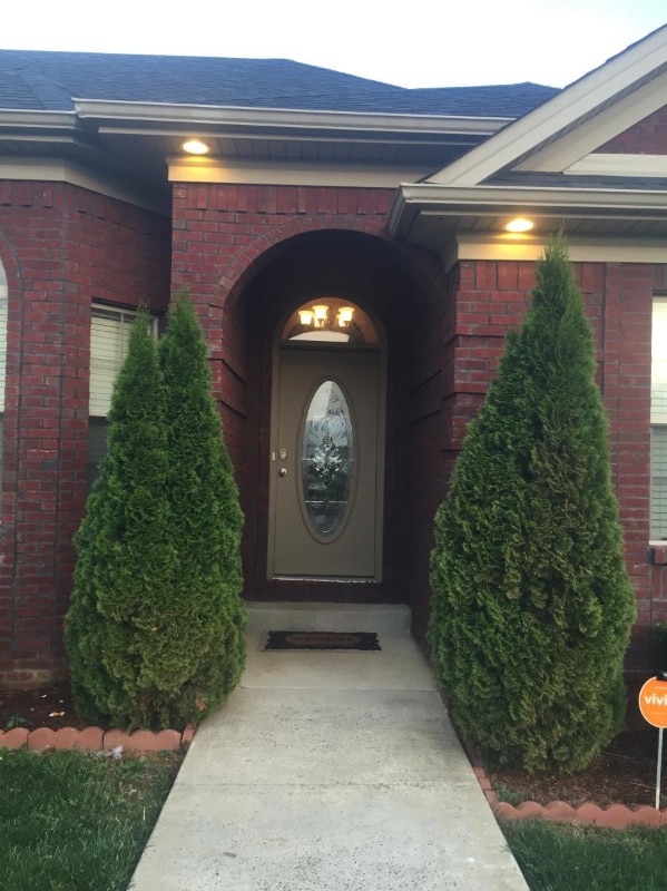 Photo - 302 Willow Crossing Ct
