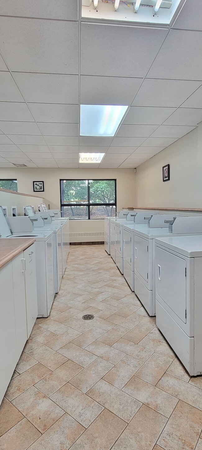 The Ogilvie Towers - The Ogilvie Towers