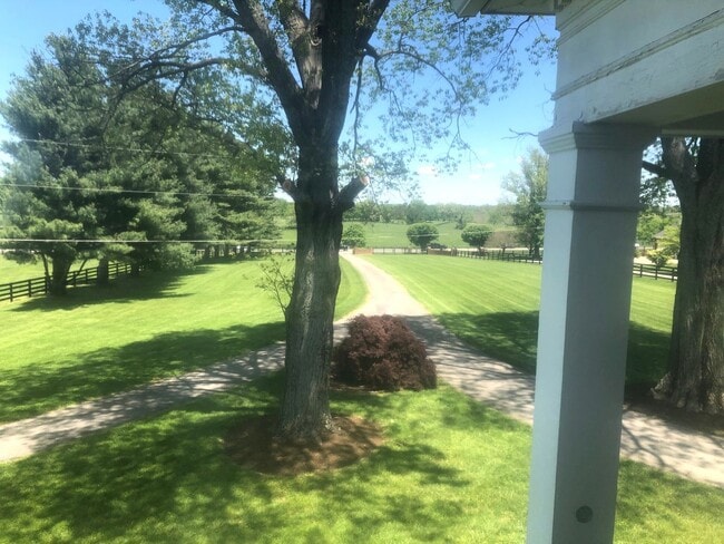Photo - Kentucky mansion overlooking horse farm with stunning views 260323