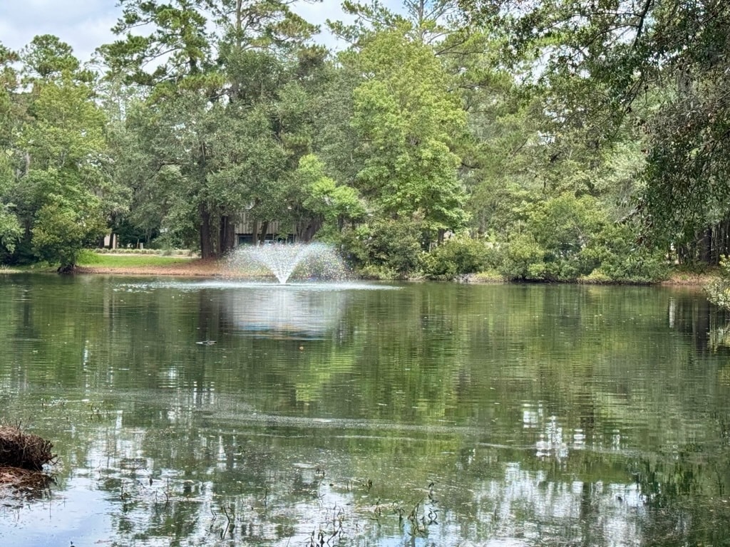 Photo - 100 Mathews Dr Unit #17