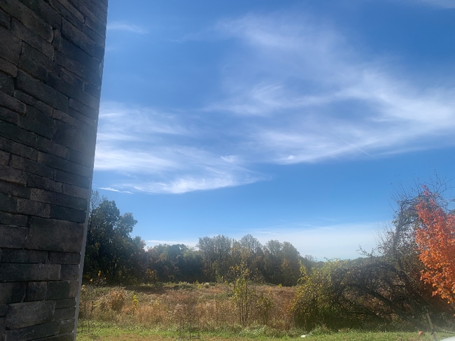 Photo - 8619 Asher Ct