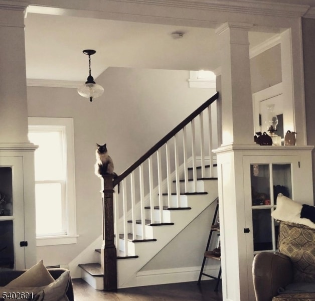 Photo - 21 Everdale Rd