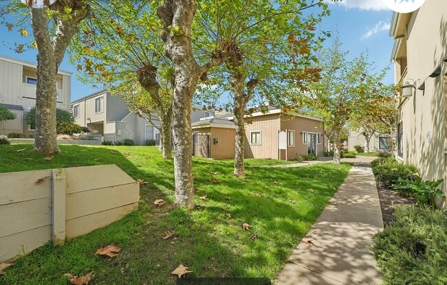 Photo - 820 Casanova Ave