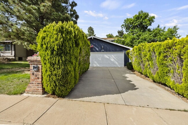 Building Photo - Updated Smart Home with Entertainer's Basement, Trex Deck & Minutes from Fort Carson