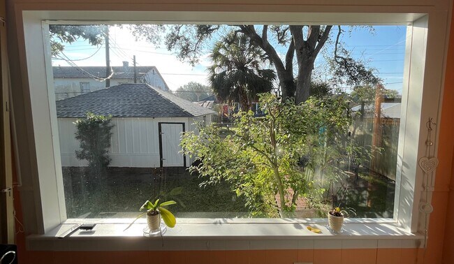 Photo - 4623 Avenue N 1/2 Rear