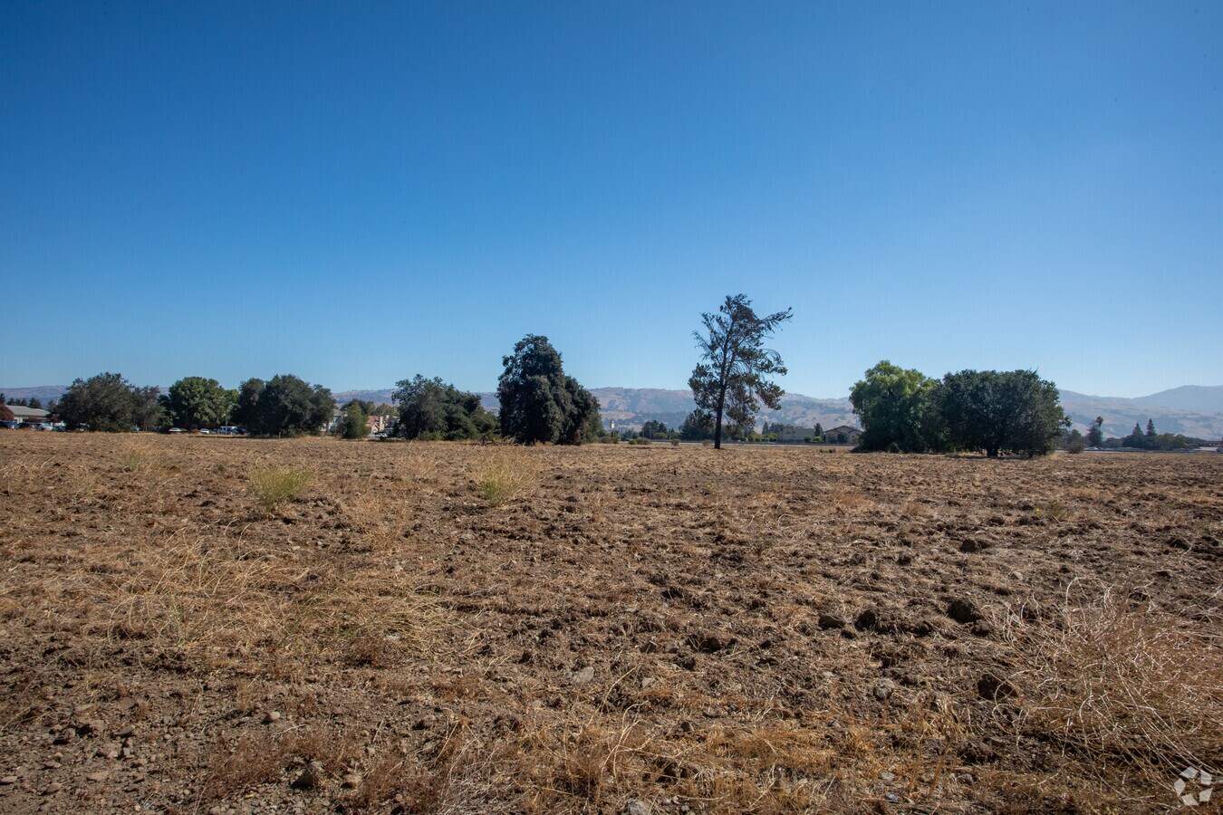 8-19-2022 Proposal - Lillian Commons- Rosewood- Residential