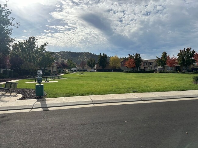 Photo - Patterson Stunner