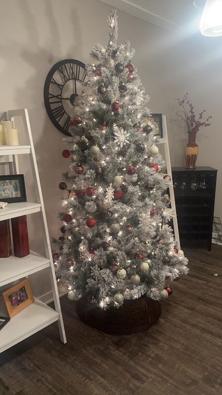 Photo - 1920 E Mohawk Cir