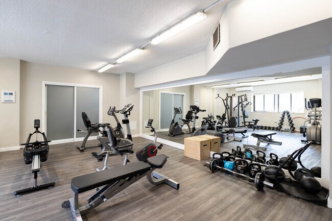 Photo - Spring Garden