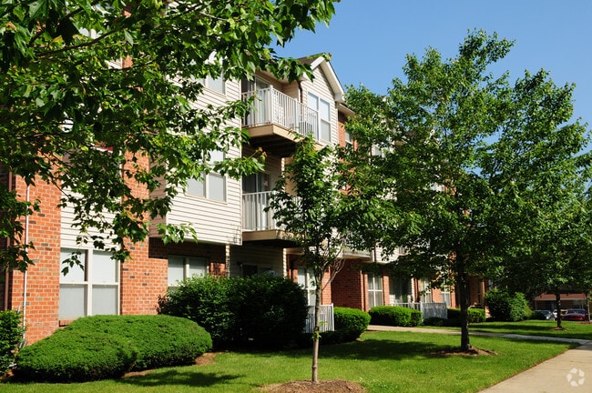 Building Photo - Forest View Rental
