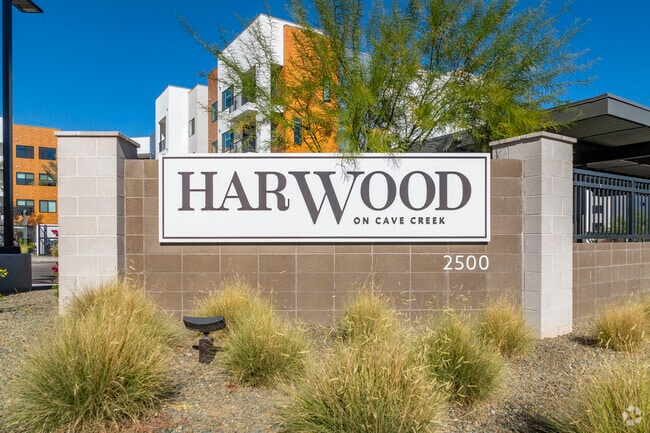 Harwood on Cave Creek