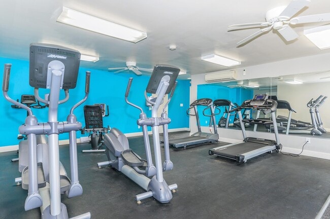 Photo - London Square & Blue Spruce