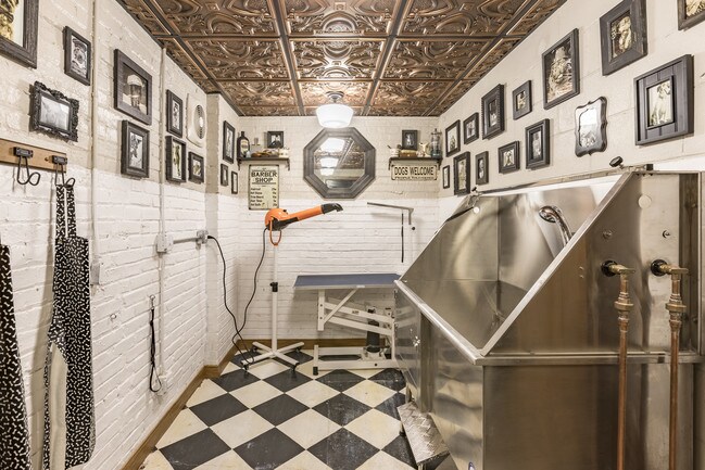 Spa para perros - District @ Sheridan - 5536 N Sheridan Rd
