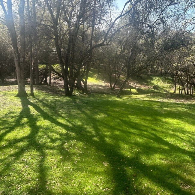 Photo - Beautiful Lake Wildwood Home with private back yard.