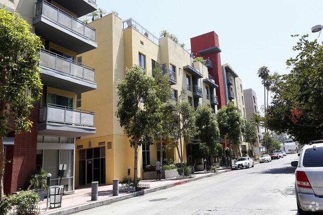 Ticino at NoHo