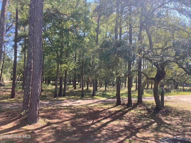 Photo - 267 Watts Landing Rd