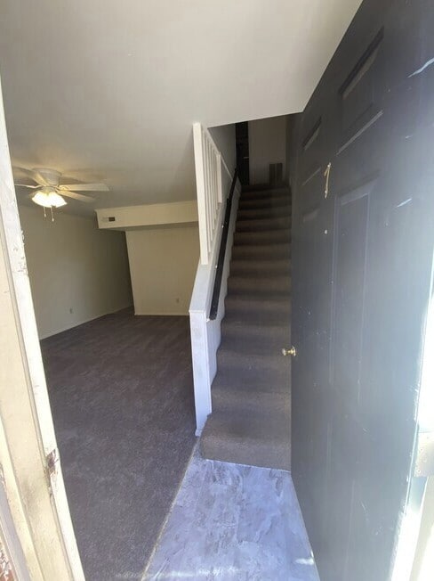 Photo - Top of the Hill at 806 College Ave