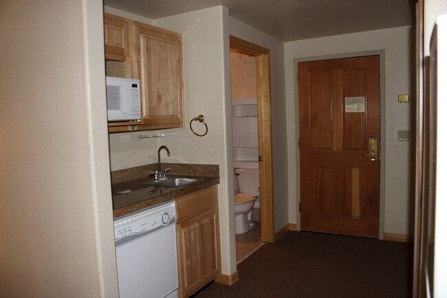 Photo - Gateway Condo - Fantastic Studio Unit close to Lifts & All Utilities Included