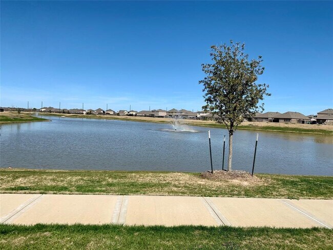 Photo - 25623 Bottlebrush Sedge St