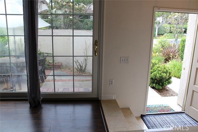 Photo - 11 Starshine