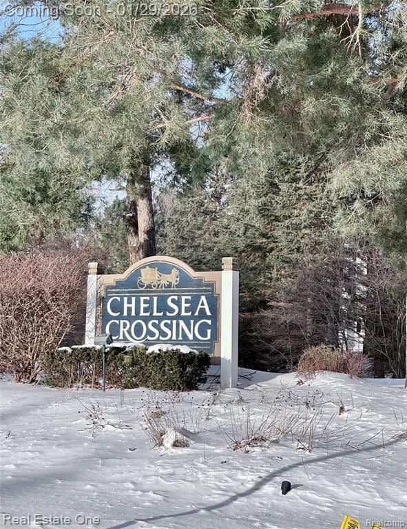 Photo - 37375 Chelsea Ln