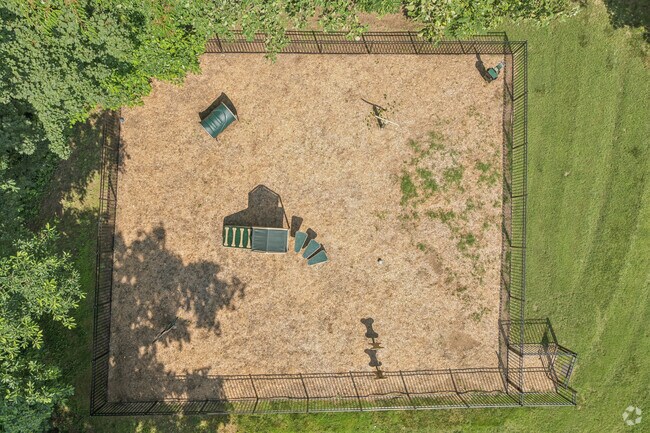 Dog Park