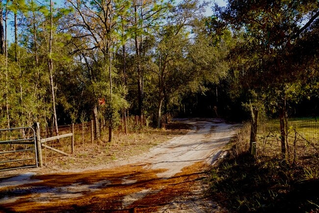 Photo - 29205 Saddle Oaks Ln