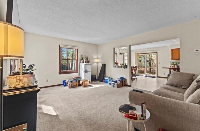 Living room - 216 Grey Birch Dr