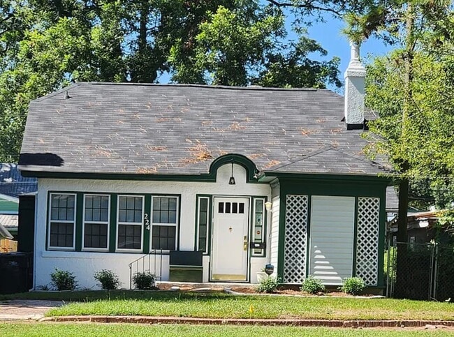 Building Photo - 224 Greene St