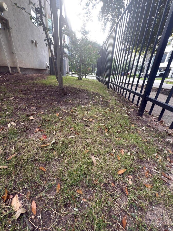 Photo - 1326 W Bell St