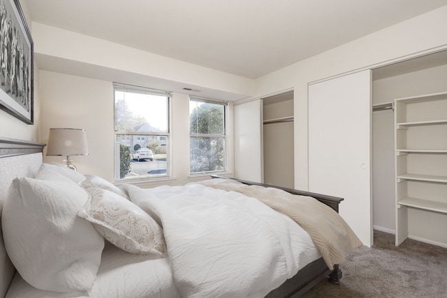 New Forest Apartments