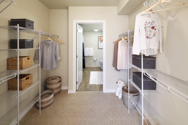 Walk-in closet