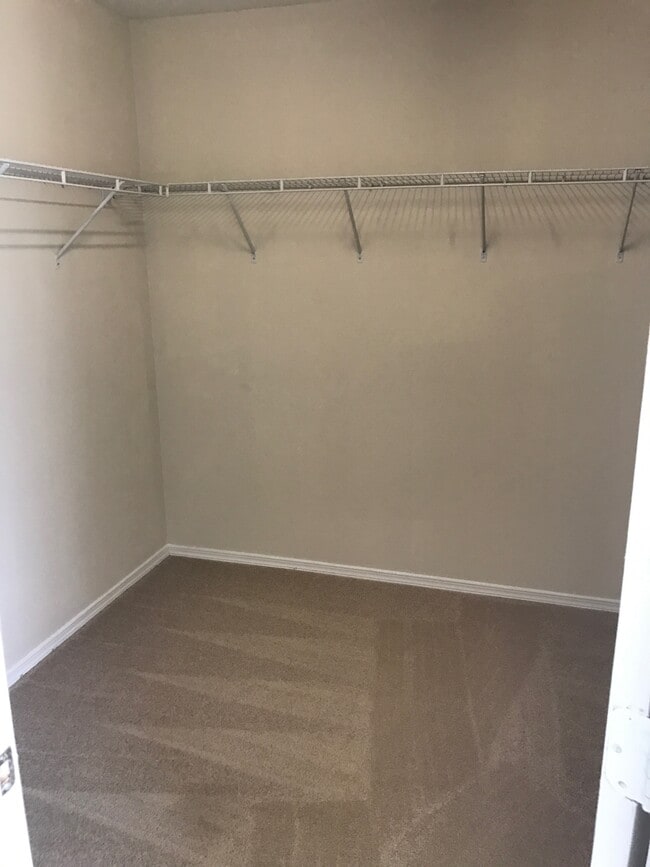 Photo - 12318 Downy Birch Rd