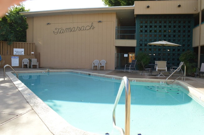 Tamarack