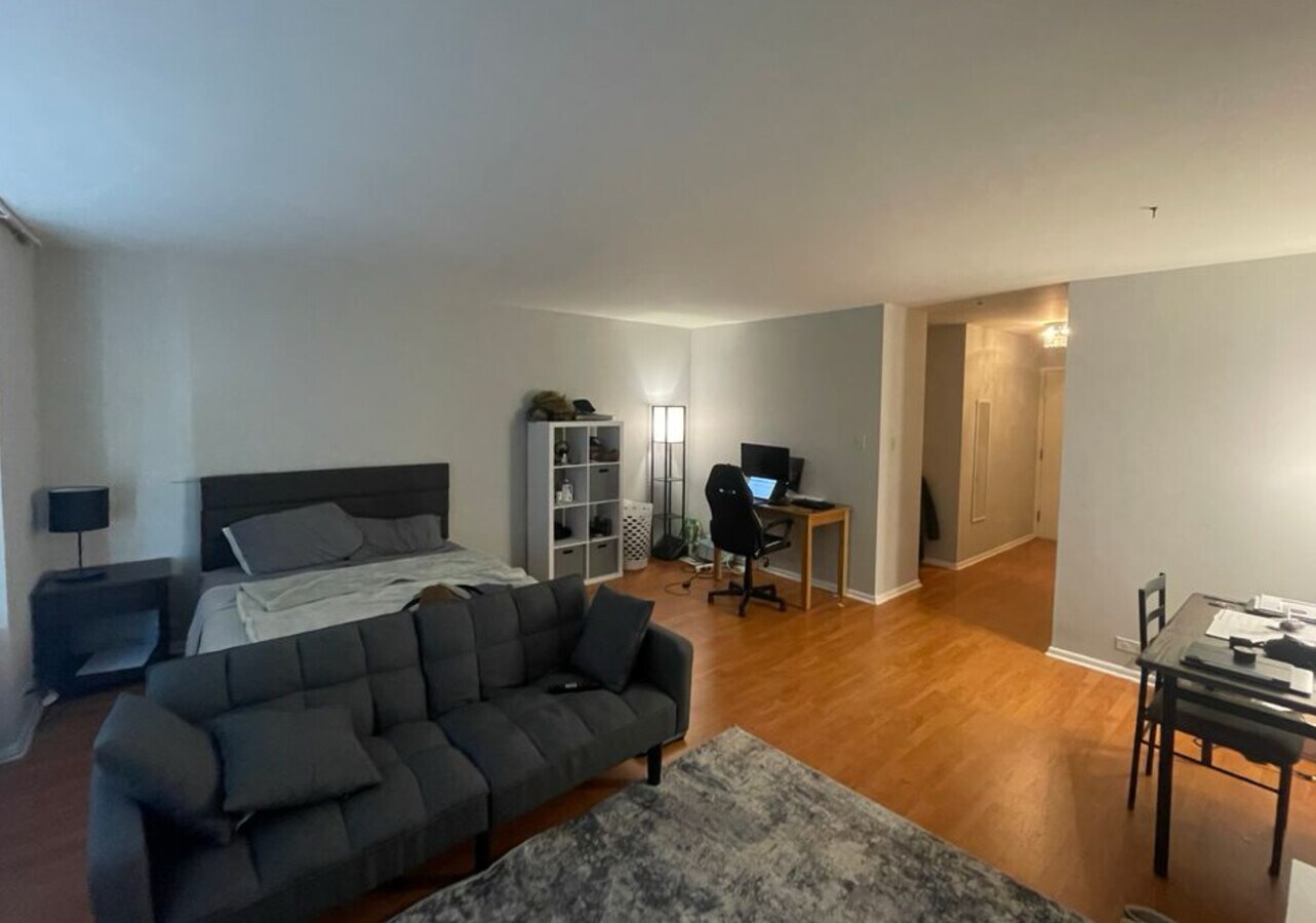 Photo - 777 N Michigan Ave Condo Unit 904