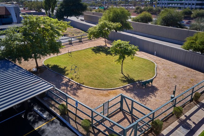 Large Pet Park
