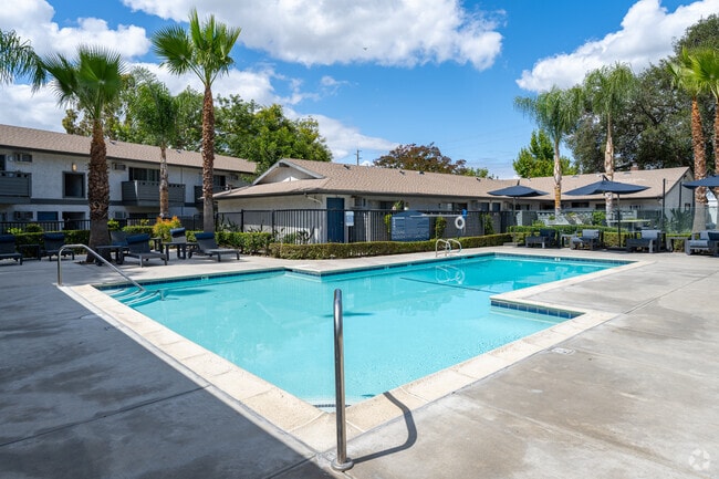 Resort-Style Pool