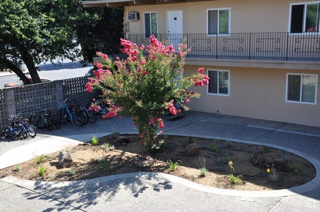 Building Photo - College Street Apartments