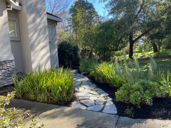 Front Yard Right Walkway - 1828 Ivanhoe Ave