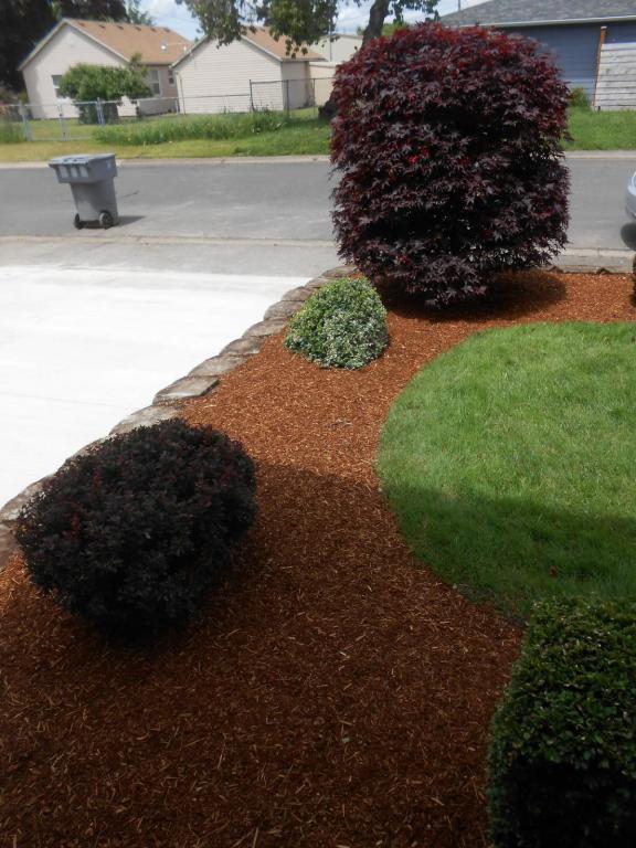 Photo - 386 30th Ave SE