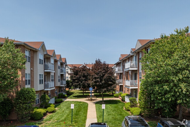 Alternar - Forest View